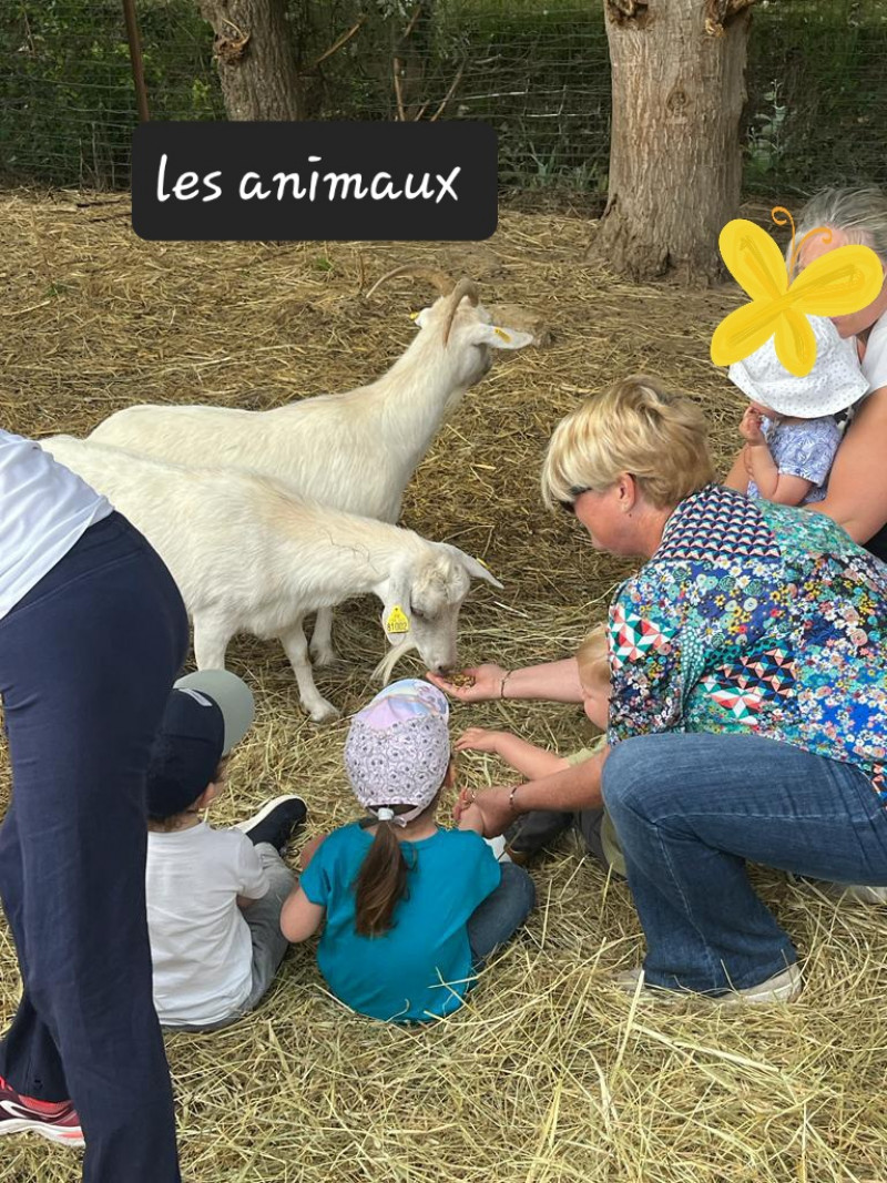 Image partagée par l'assistante